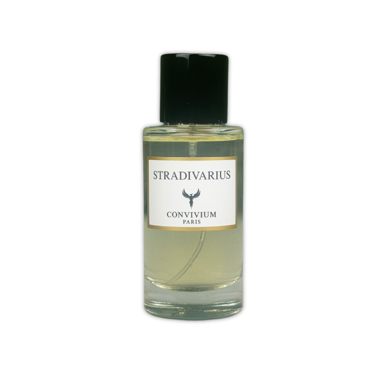 27. Stradivarius - Convivium Paris - 50 ml